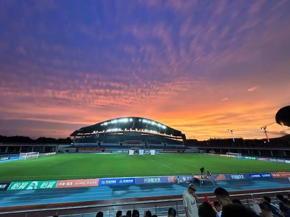 雨燕免费直播在线观看